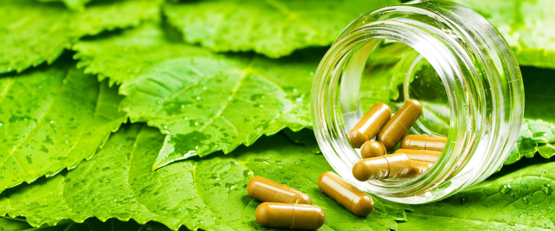 Herbs & Homeopathy